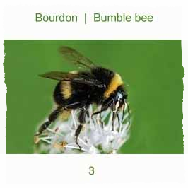 bourdon bourdon