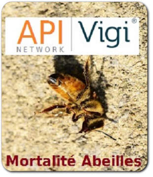 Mortalité des abeilles